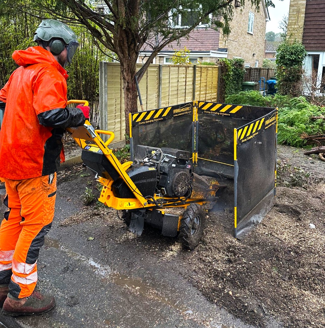 Stump grinding service