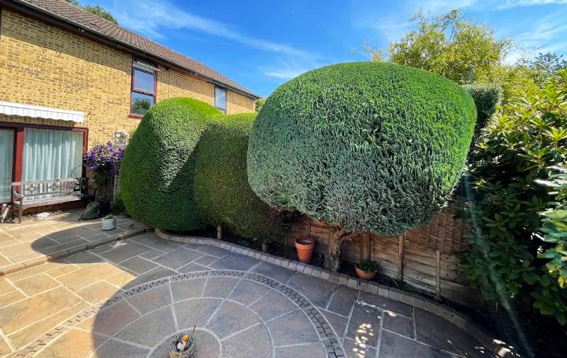 Garden maintenance service