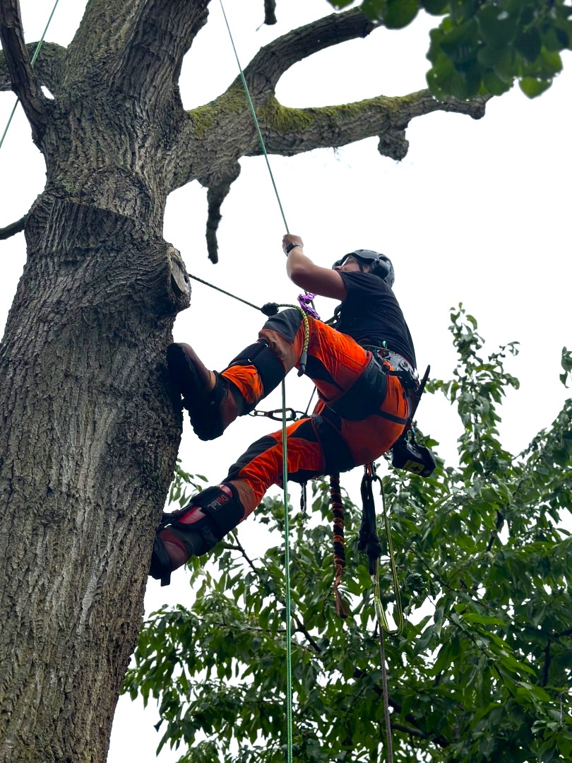 Services by Redbeard Services